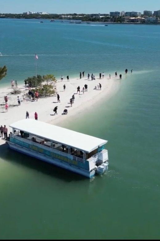 clearwater-beach-dolphin-island-sandbar-cruise