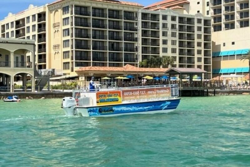 clearwater-dolphin-watching-sunset-cruise