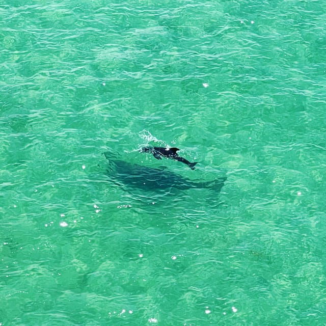 clearwater-guided-clear-kayaking-tour