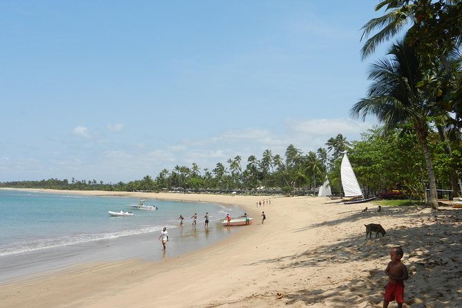 coconut-coast-and-praia-do-forte-the-famous-beaches