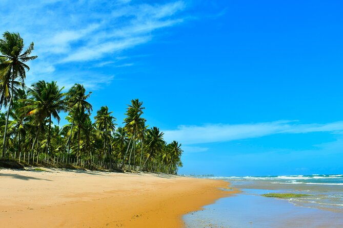coconut-coast-surf-adventure-vacation-seven-days-with-a-pro