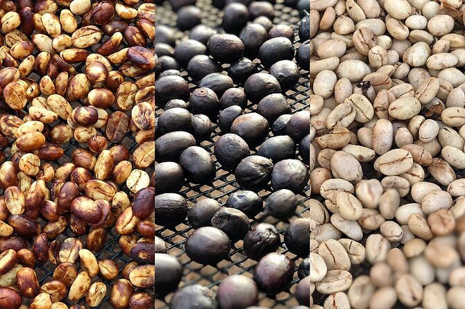 coffee-farm-and-salento-walking-tour-2
