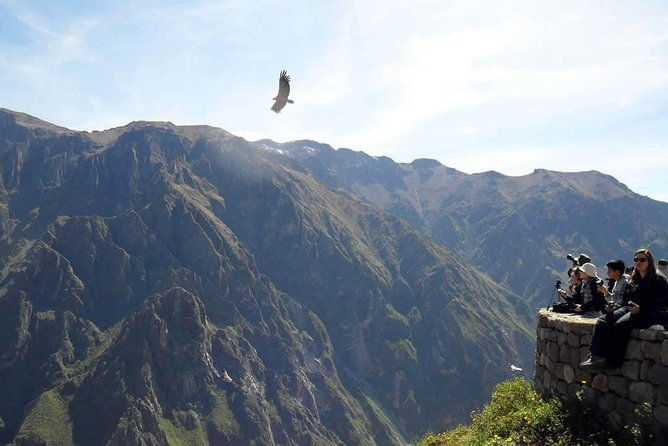 colca-canyon-full-day-buffet-lunch