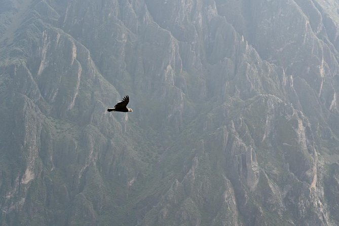 colca-canyon-tour-2d-1n-shared-service