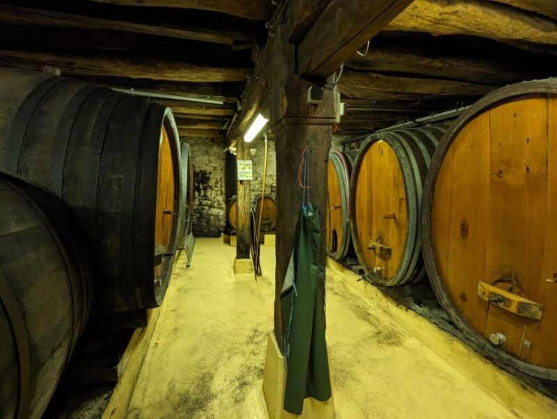 colmar-highlights-walking-tour-and-wine-tasting