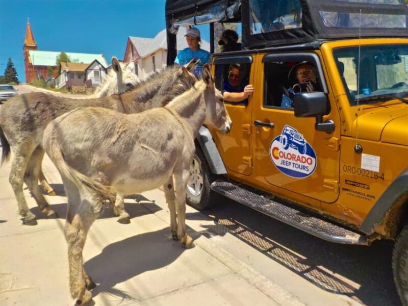 colorado-jeep-tours-gold-belt-tour