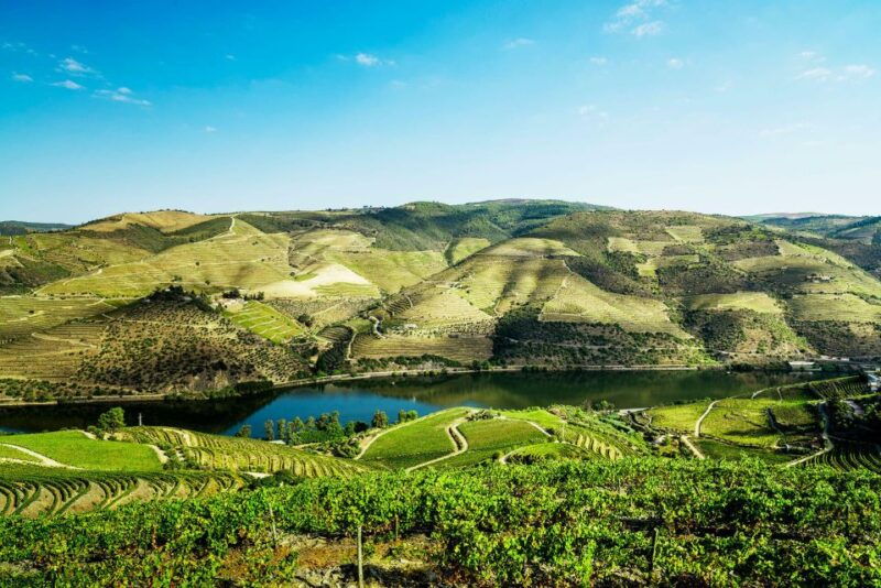 complete-douro-valley-tour-visit-to-3-wineries-lunch