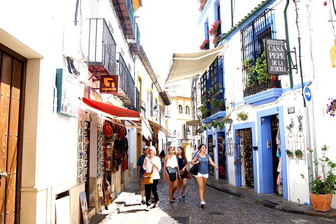cordoba-and-its-mosque-from-malaga-with-private-transfer
