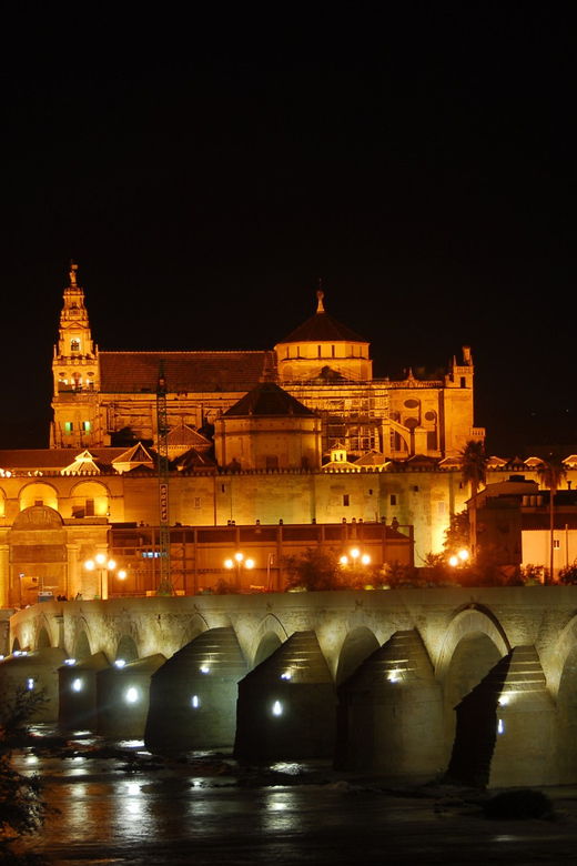 cordoba-at-night-by-bike-electric-bike