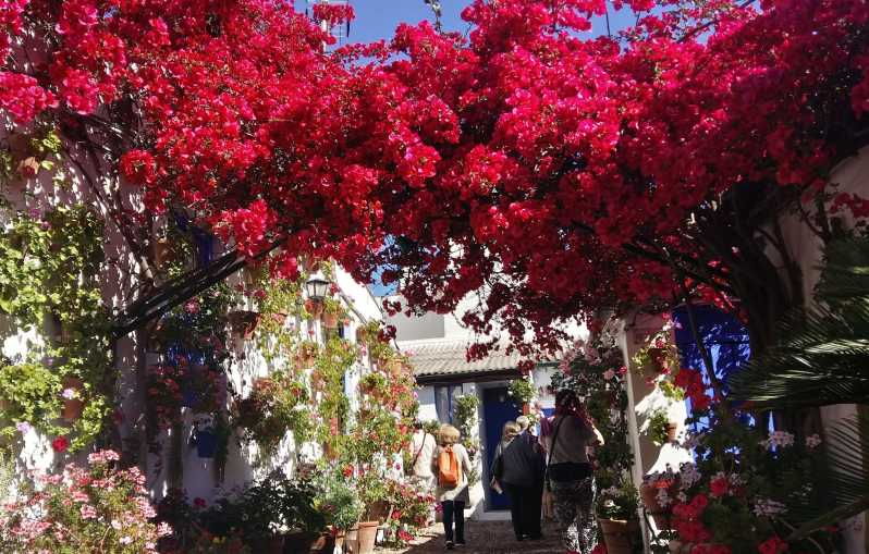 cordoba-courtyards-by-bike-electric-bike