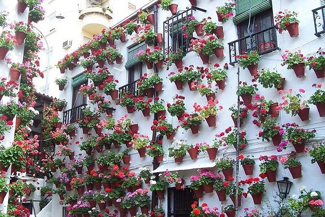 cordoba-private-tour-from-granada-for-up-to-8-persons-including-the-great-mosque