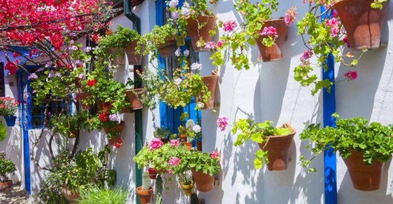 cordobas-authentic-patios-2-hour-tour-with-tickets-3