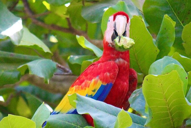 costa-rica-5-days-with-accommodation-tours-and-some-meals