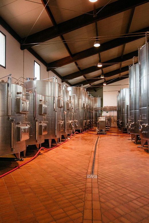 cotarella-family-near-orvieto-wine-taste-and-visit