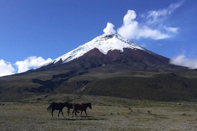cotopaxi-quilotoa-treking-3-days-2-nights-from-quito