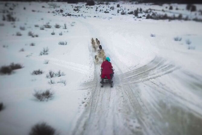 crab-route-in-the-snow-4x4-in-tierra-del-fuego