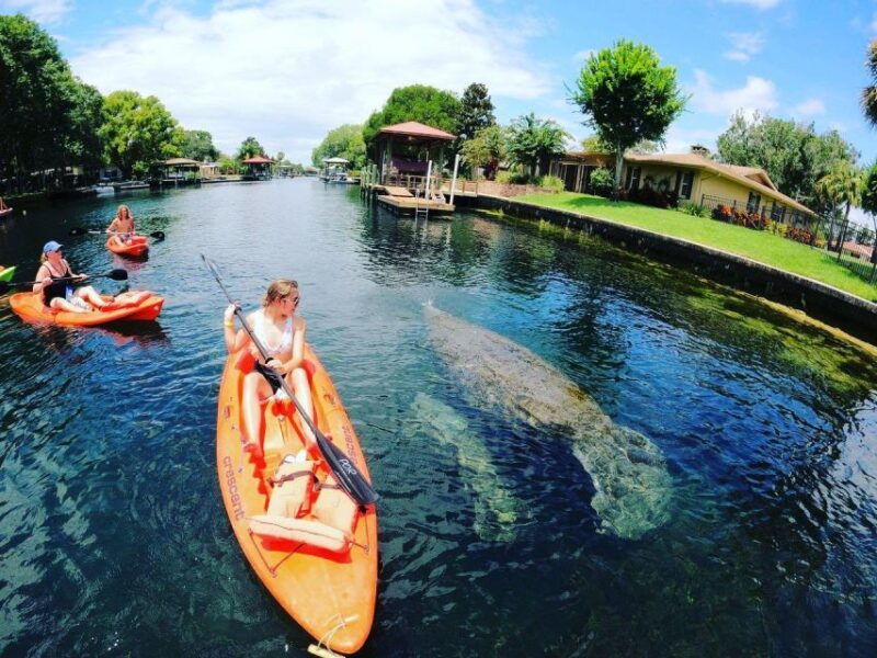 crystal-river-kayak-rental