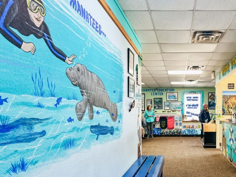 crystal-river-manatee-snorkel-tour-w-in-water-photographer