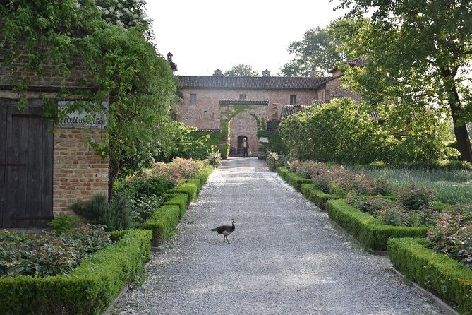 culatello-and-more-private-full-day-food-tour-in-parma
