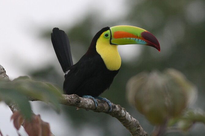 curi-cancha-nature-experience