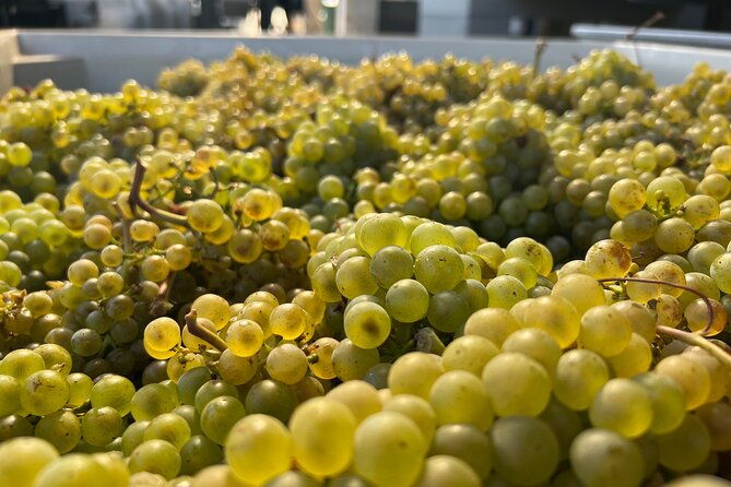 custom-willamette-wine-tours-from-the-allison-inn-and-spa