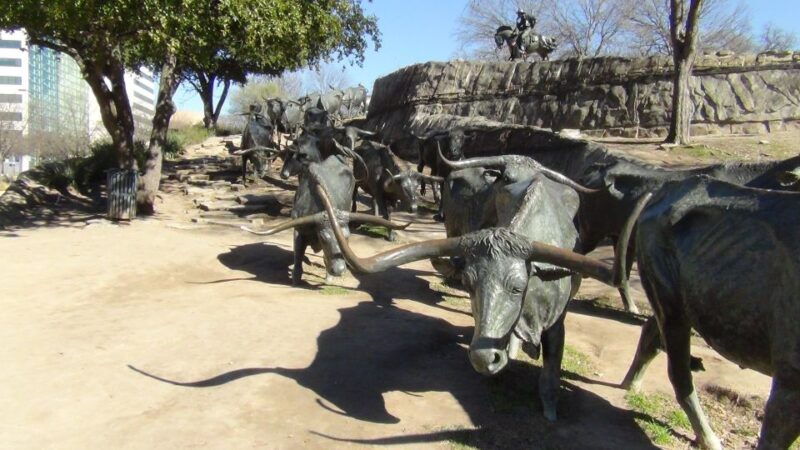 dallas-small-group-city-highlights-tour