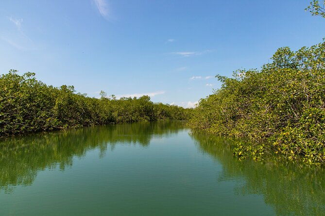 damas-island-kayaking-tour-from-manuel-antonio