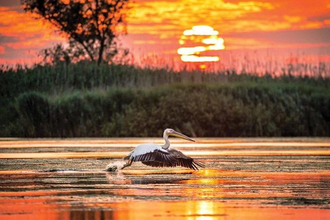 danube-delta-private-tour-from-bucharest-2-days-tour