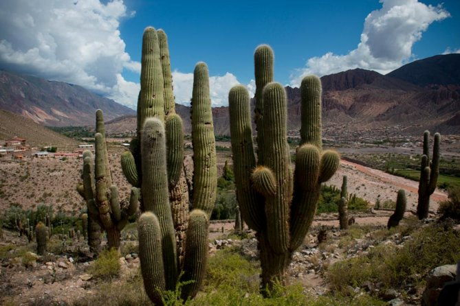 day-trip-discover-humahuaca-valley-from-salta