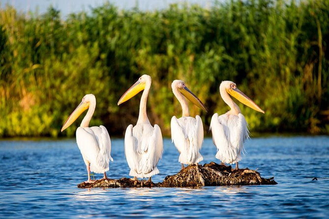 day-trip-from-bucharest-to-danube-delta