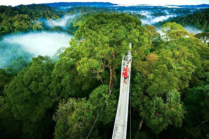 day-trip-from-san-jose-to-monteverde-cloud-forest-sky-adventure-park