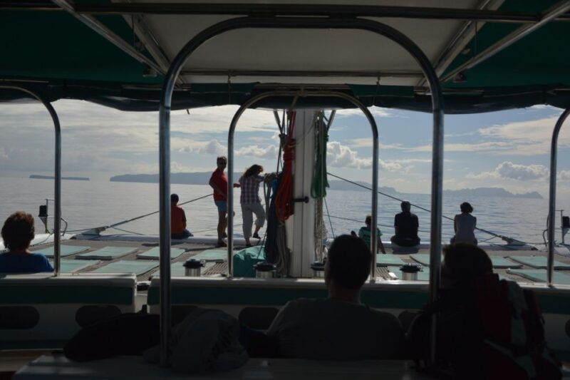 desertas-islands-full-day-catamaran-trip-from-funchal
