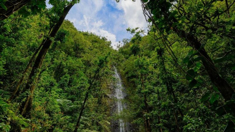 diamond-head-manoa-falls