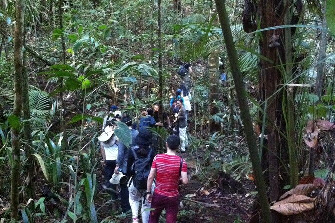 dinner-and-overnight-in-the-jungle-in-manaus
