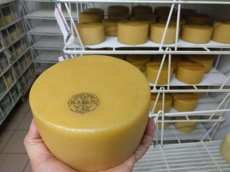 discover-the-art-of-idiazabal-cheese-in-the-basque-country