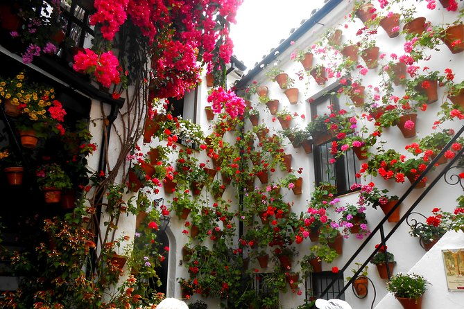 discover-the-patios-de-cordoba-guided-tour