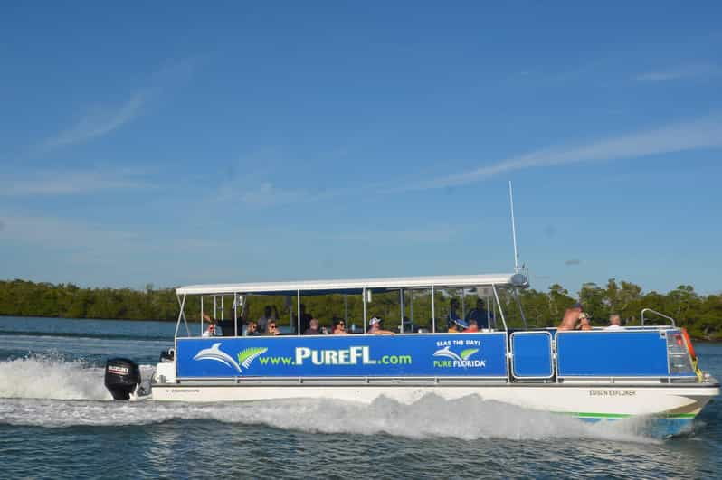 dolphin-watch-eco-cruise