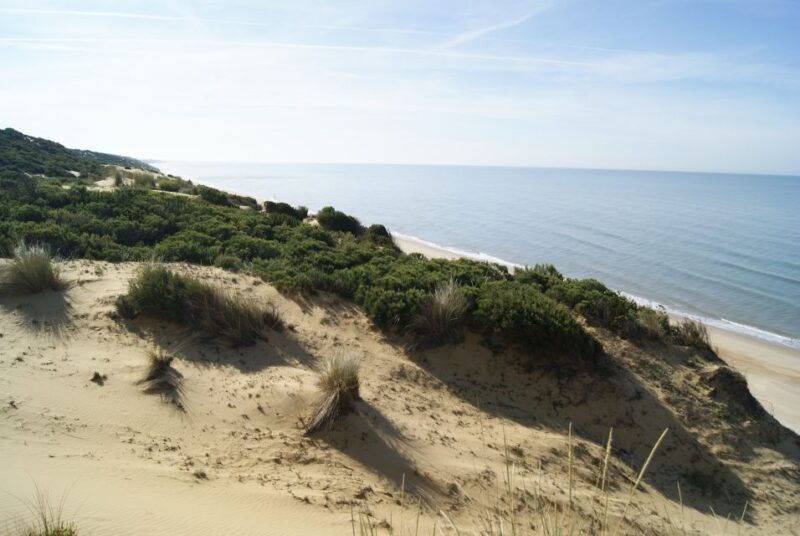 donana-national-park-off-road-tour-from-seville