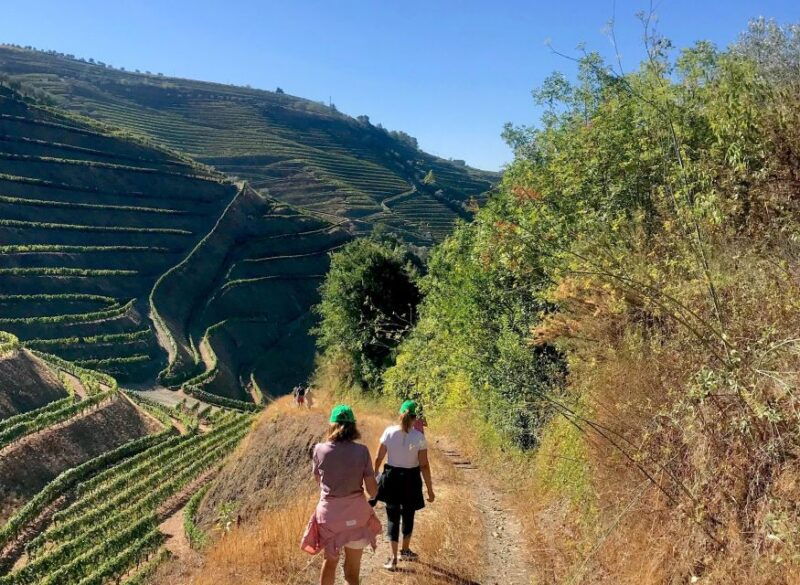 douro-walking-with-full-fancy-lunch-and-premium-wines