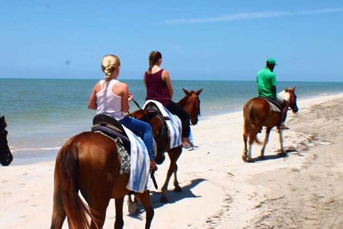dunns-river-falls-and-horseback-riding-tour-from-montego-bay