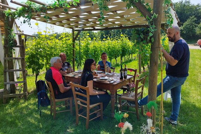 e-bike-and-tour-from-lonato-del-garda-with-wine-tasting