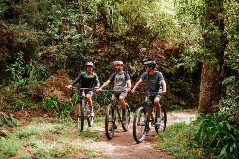 e-bike-guided-tour-west-side-mountain-biking