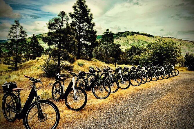 e-bike-rental-in-hood-river