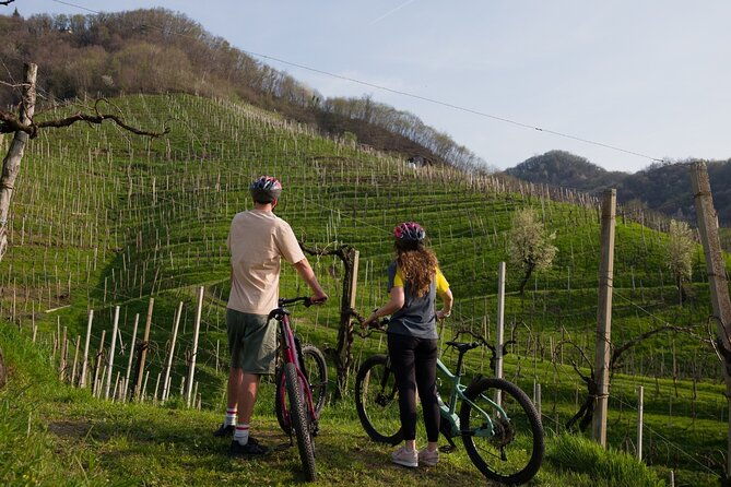 e-bike-tour-amongst-unesco-listed-prosecco-hills-and-vineyards
