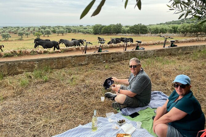 ebike-tour-millennials-olive-trees-park-with-aperitif