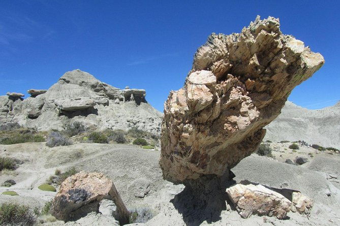 el-calafate-day-trip-to-the-spectacular-petrified-forest-la-leona