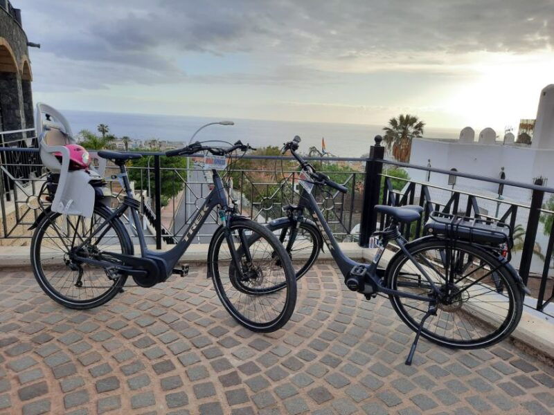 electric-city-bike-rental-with-hotel-delivery