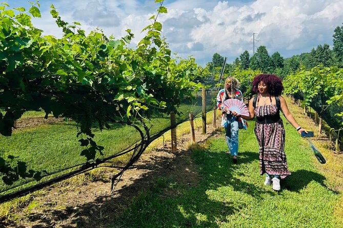 elijay-three-vineyards-private-wine-tasting-tour-from-atlanta