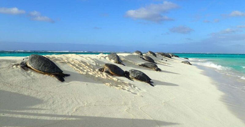 enchanting-small-group-circle-island-tour-of-oahu-paradise