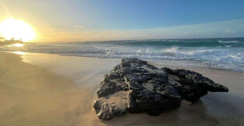 enjoy-private-professional-photo-tour-in-honolulu-island